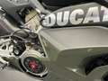 Ducati Panigale V4 S Black Forest Negro - thumbnail 14