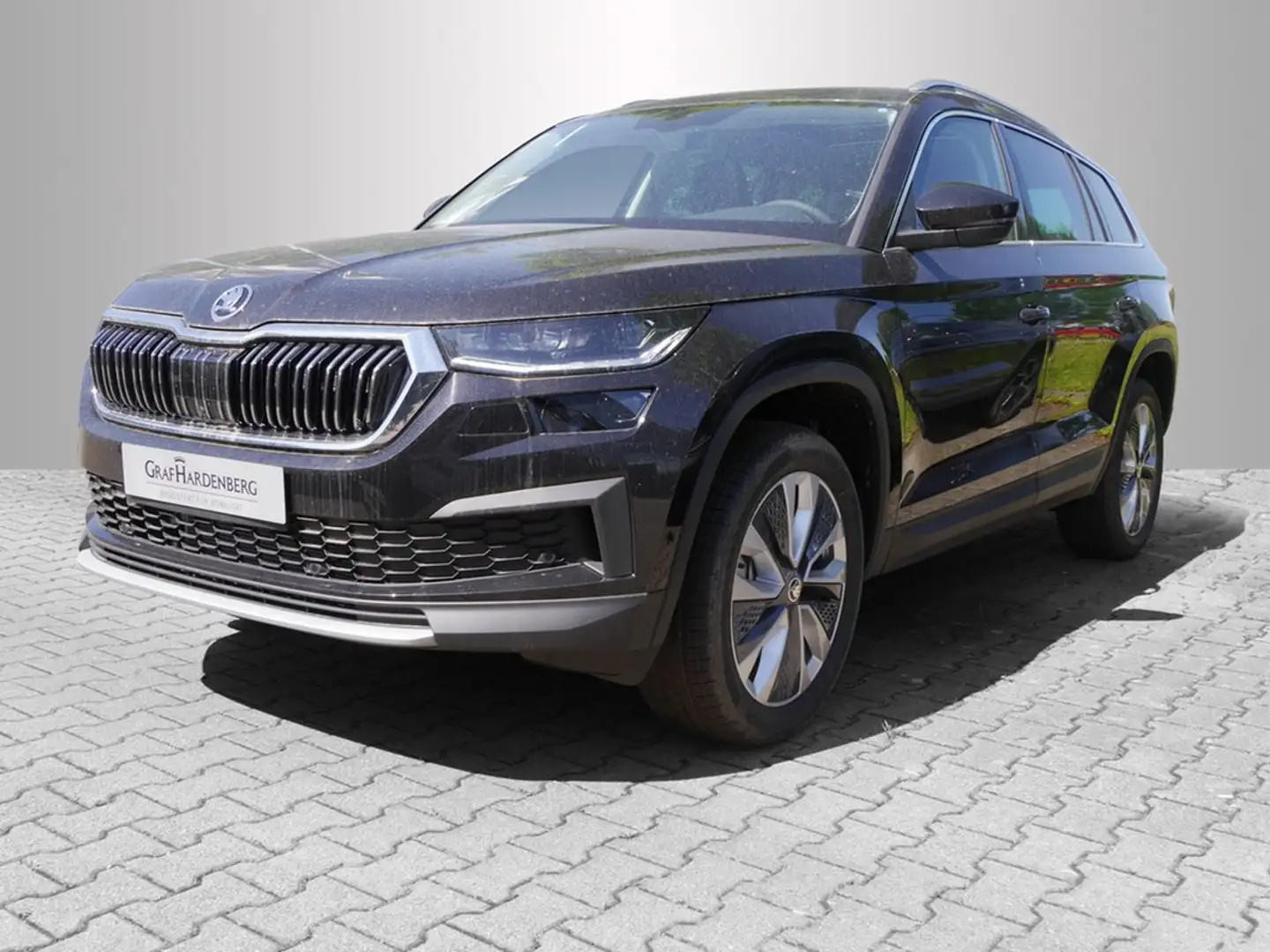 Skoda Kodiaq Style 2.0 TDI DSG 4X4 AHK Pano Schwarz - 1