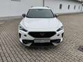 CUPRA Formentor VZ 2.0 TSI DSG ACC AHK BEATS LEDER Weiß - thumbnail 3