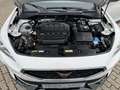 CUPRA Formentor VZ 2.0 TSI DSG ACC AHK BEATS LEDER Weiß - thumbnail 28