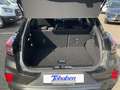 Ford Puma ST-Line 1.0 MHD Navi Klima LED PDC Gris - thumbnail 21
