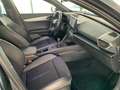 CUPRA Formentor Formentor  2.0 tdi 150cv Grau - thumbnail 22