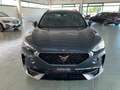 CUPRA Formentor Formentor  2.0 tdi 150cv Grau - thumbnail 25