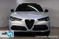 Alfa Romeo Stelvio Stelvio 2.2 Turbo Diesel 210cv AT8 Q4 Veloce MY24 Wit - thumbnail 2