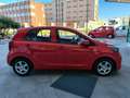 Kia Picanto Picanto III 2021 1.0 dpi Urban PREZZO REALE Rosso - thumbnail 7