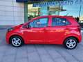 Kia Picanto Picanto III 2021 1.0 dpi Urban PREZZO REALE Rosso - thumbnail 2