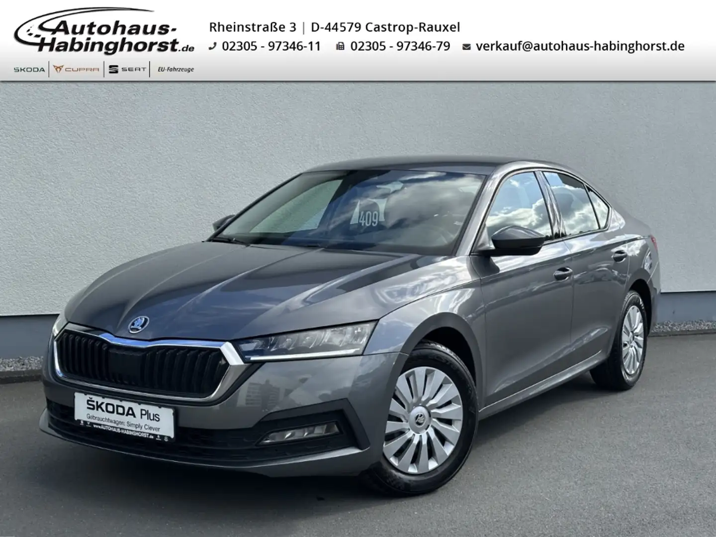 Skoda Octavia IV 1.0 TSI Active SmartLink LED SHZ PDC Klima Gris - 1
