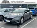Skoda Octavia IV 1.0 TSI Active SmartLink LED SHZ PDC Klima Grau - thumbnail 1