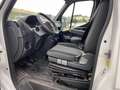 Renault Master L3H2 3,9t Bus Energy dCi 165 17-Sitzer - thumbnail 5