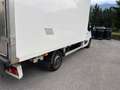 Renault Master L3H2 3,9t Bus Energy dCi 165 17-Sitzer - thumbnail 8