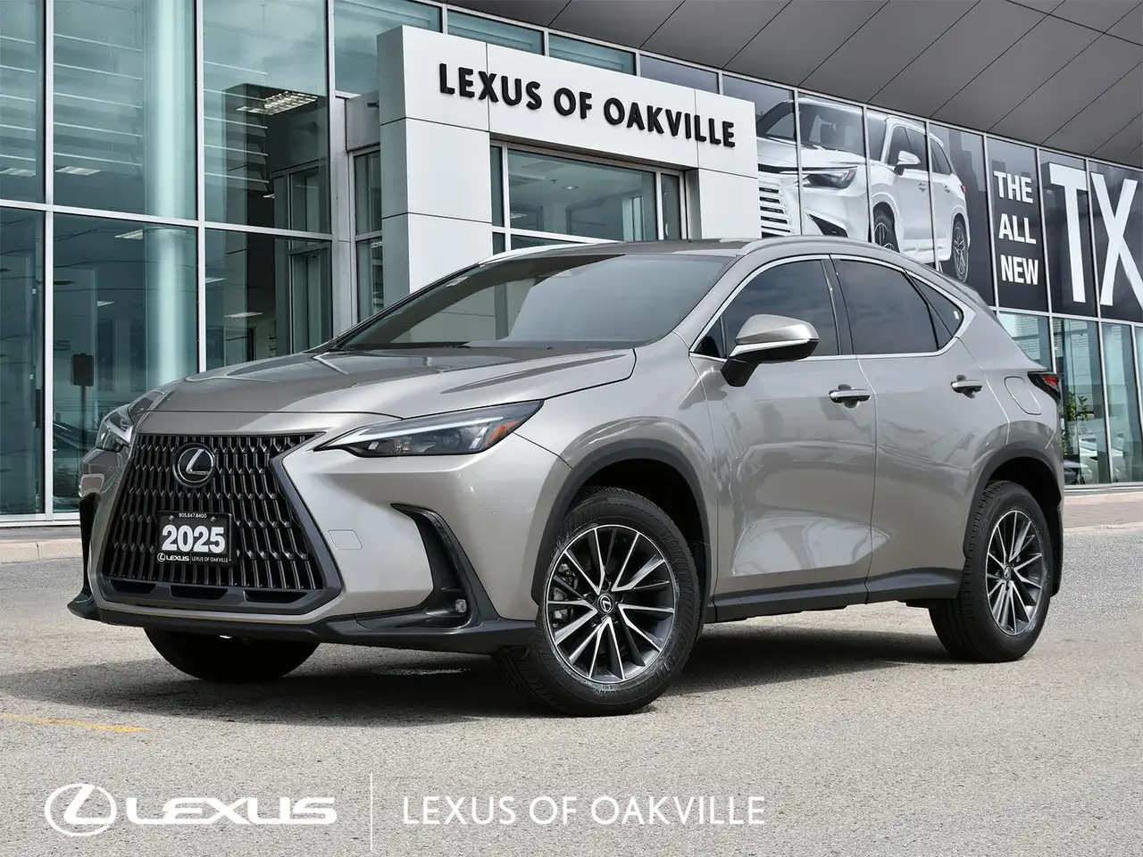 2025 Lexus NX