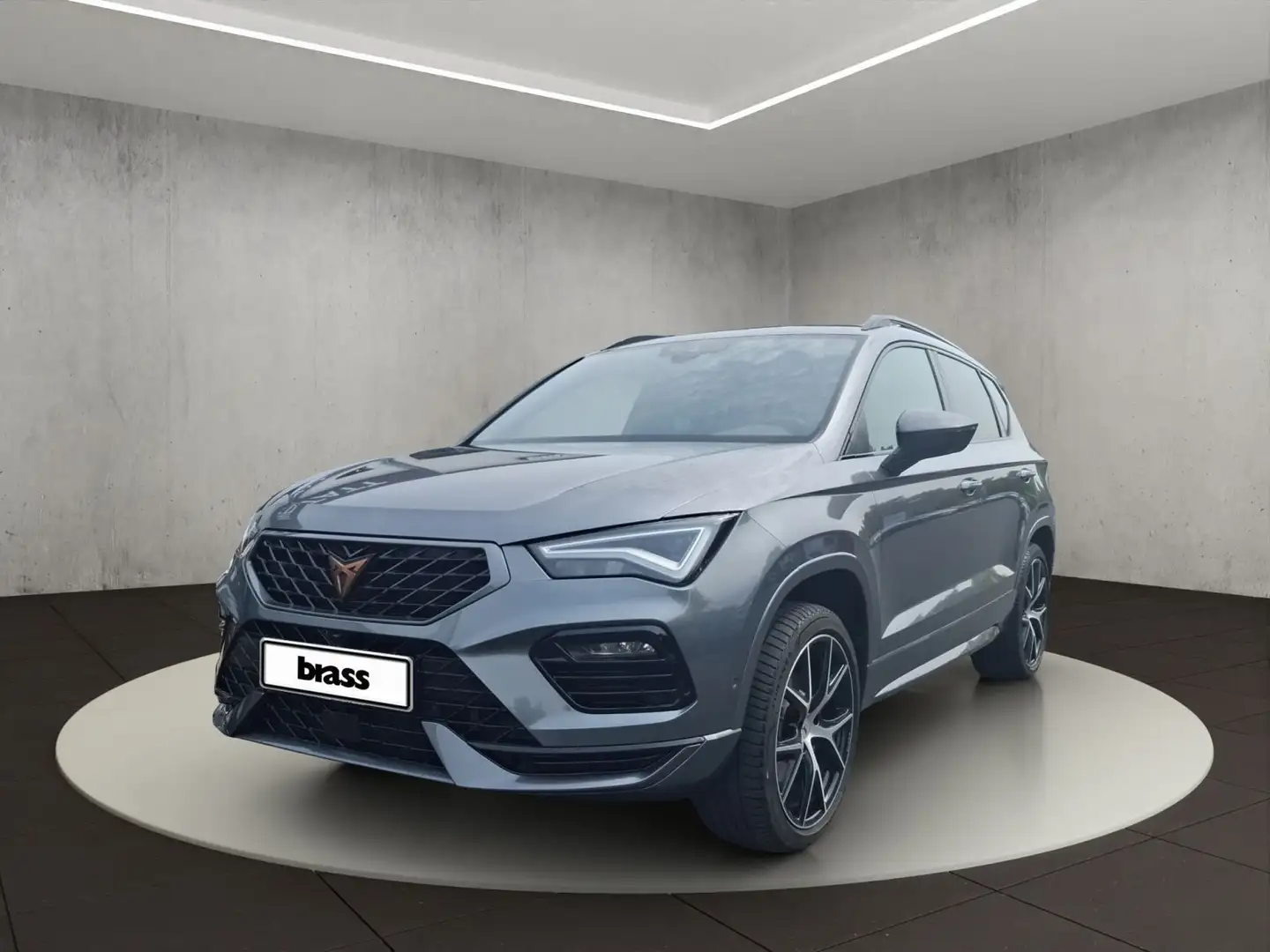 CUPRA Ateca . Gris - 1