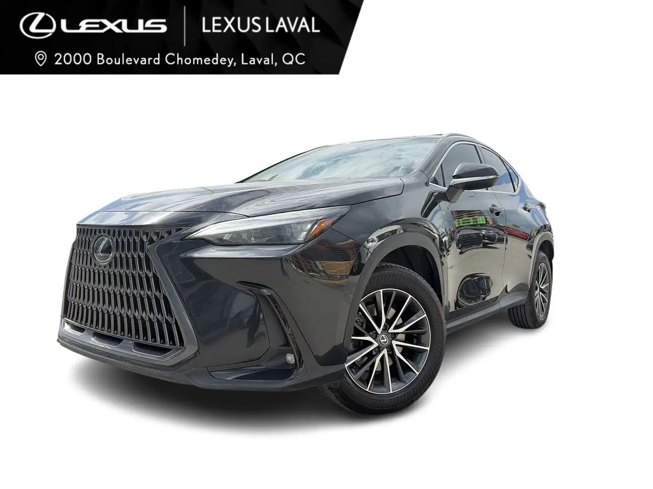 2025 Lexus NX