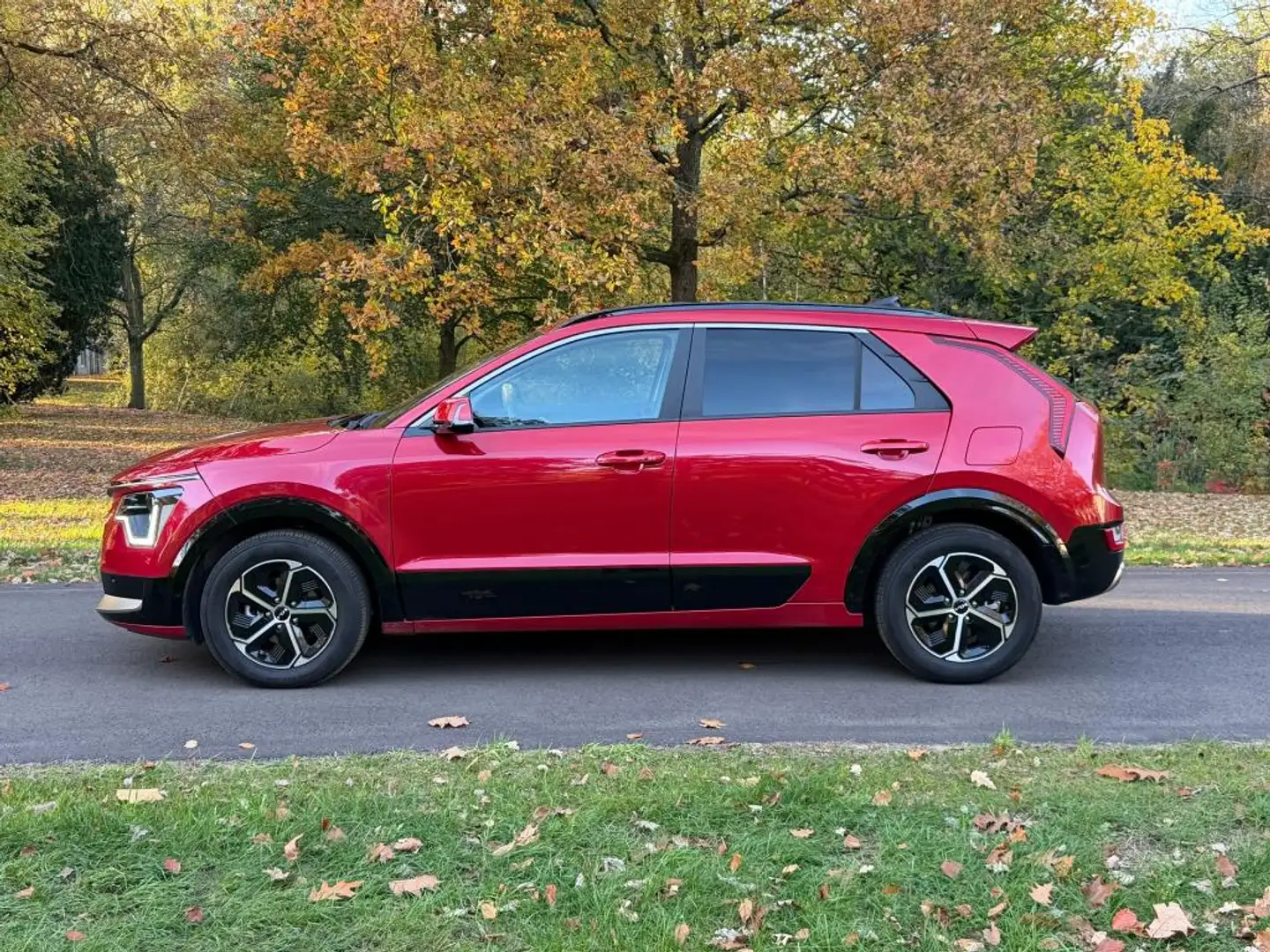 Kia Niro 1.6 GDi Hybrid DynamicPlusLine | Leder | Airco | S Rood - 2