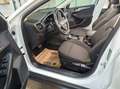 Ford Focus 1.5 EcoBlue Titanium X, AHK, LED, Kamera Weiß - thumbnail 7