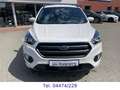 Ford Kuga 1.5 EB Automatik ST-Line *Inspektion neu*++ Blanc - thumbnail 8