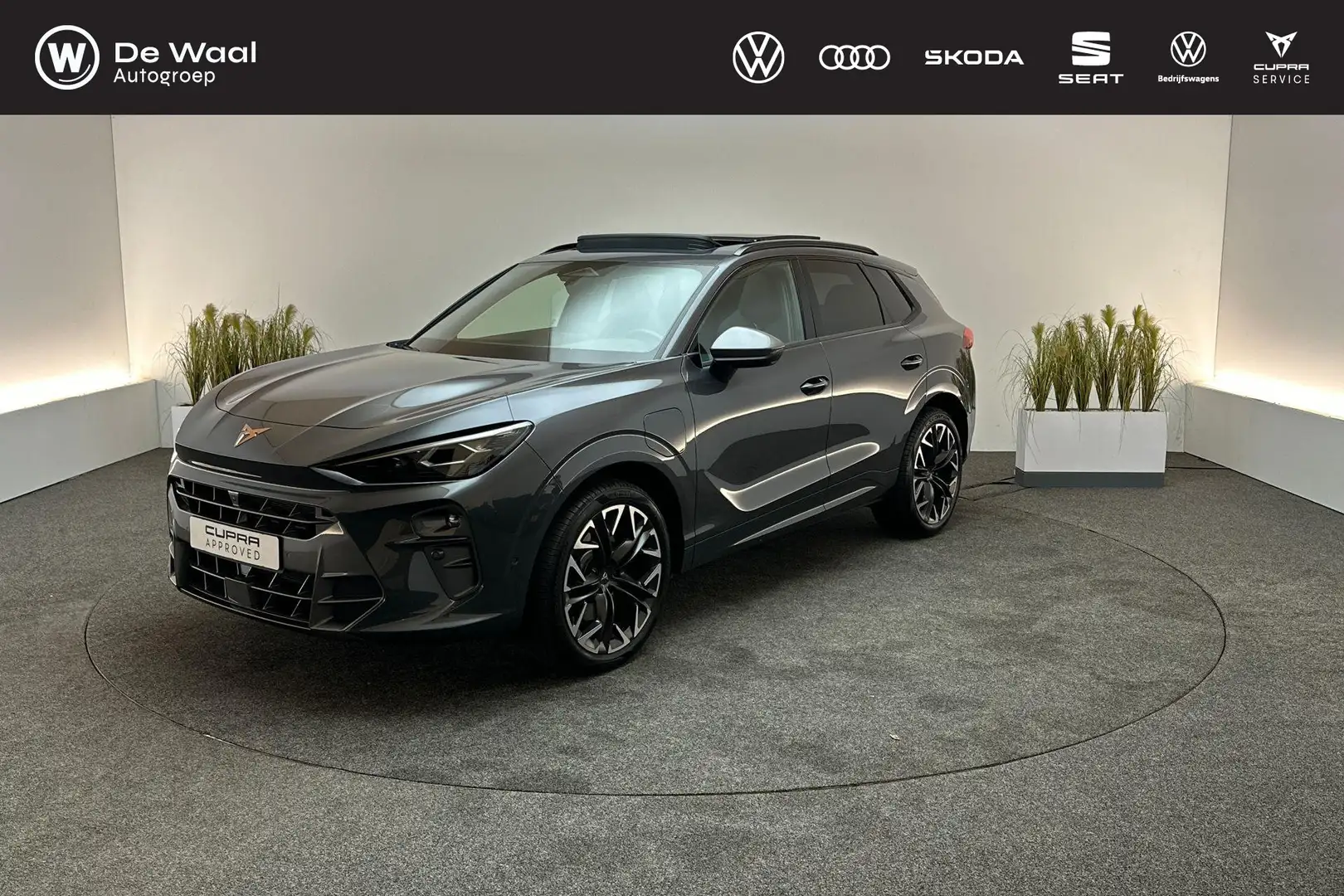CUPRA Terramar 1.5 TSI 272pk DSG e-Hybrid VZ Performance | Panora Gris - 1