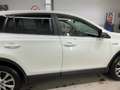 Toyota RAV 4 Toyota RAV 4 2.5 Hybrid Executive Weiß - thumbnail 28