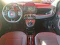 Fiat Panda Cross 1.0 FireFly S&S Hybrid Verde - thumbnail 13