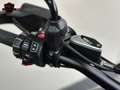 BMW R 1300 GS TRAMUNTANA Groen - thumbnail 16