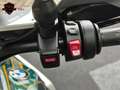 BMW R 1300 GS TRAMUNTANA Groen - thumbnail 15