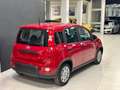 Fiat Panda 1.0 hybrid (Red) PREZZO PROMO Rojo - thumbnail 5