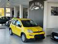 Fiat Panda 1.0 hybrid (Red) PREZZO PROMO Rojo - thumbnail 11