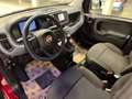 Fiat Panda 1.0 hybrid (Red) PREZZO PROMO Rojo - thumbnail 7