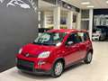 Fiat Panda 1.0 hybrid (Red) PREZZO PROMO Rojo - thumbnail 3