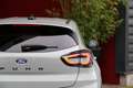 Ford Puma 1.0 EcoBoost Hybrid Titanium | Elek. klep | Draadl Gris - thumbnail 14