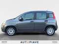 Fiat Panda Panda 1.2 Easy Gris - thumbnail 2
