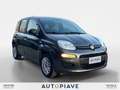 Fiat Panda Panda 1.2 Easy Gris - thumbnail 6