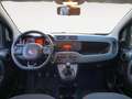 Fiat Panda Panda 1.2 Easy Gris - thumbnail 10