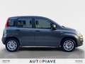Fiat Panda Panda 1.2 Easy Gris - thumbnail 5