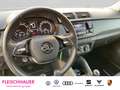Skoda Fabia 1.0 Cool Plus SHZ PDC Klima el.SP Spieg. beheizbar Blau - thumbnail 9