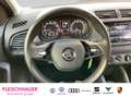Skoda Fabia 1.0 Cool Plus SHZ PDC Klima el.SP Spieg. beheizbar Blau - thumbnail 14