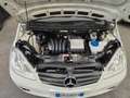 Mercedes-Benz A 160 Classe A - W/C 169 be Special edition Bianco - thumbnail 5