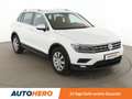 Volkswagen Tiguan 1.4 TSI ACT Comfortline BM*NAVI*LED*ACC*CAM*SPUR* Weiß - thumbnail 8