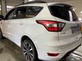 Ford Kuga Kuga 2,0 TDCi ST-Line Powershift Aut. AWD ST-Line Weiß - thumbnail 4