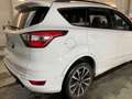 Ford Kuga Kuga 2,0 TDCi ST-Line Powershift Aut. AWD ST-Line Weiß - thumbnail 16