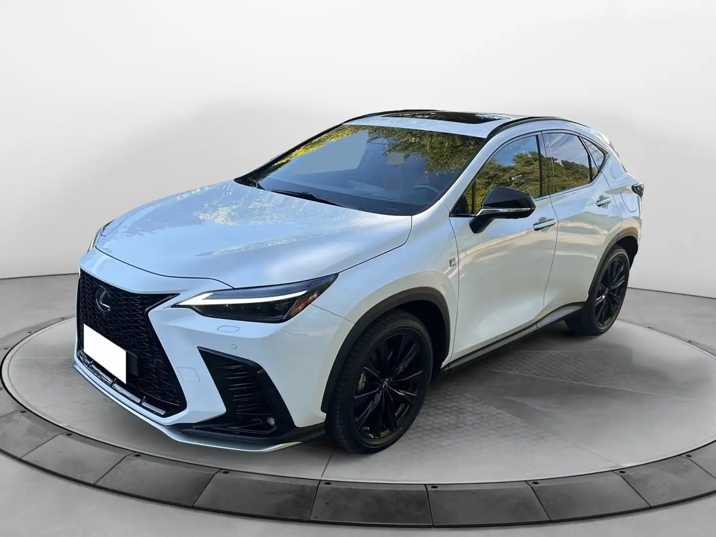 Lexus NX 300 NX Plug-in 4WD F-Sport - 1