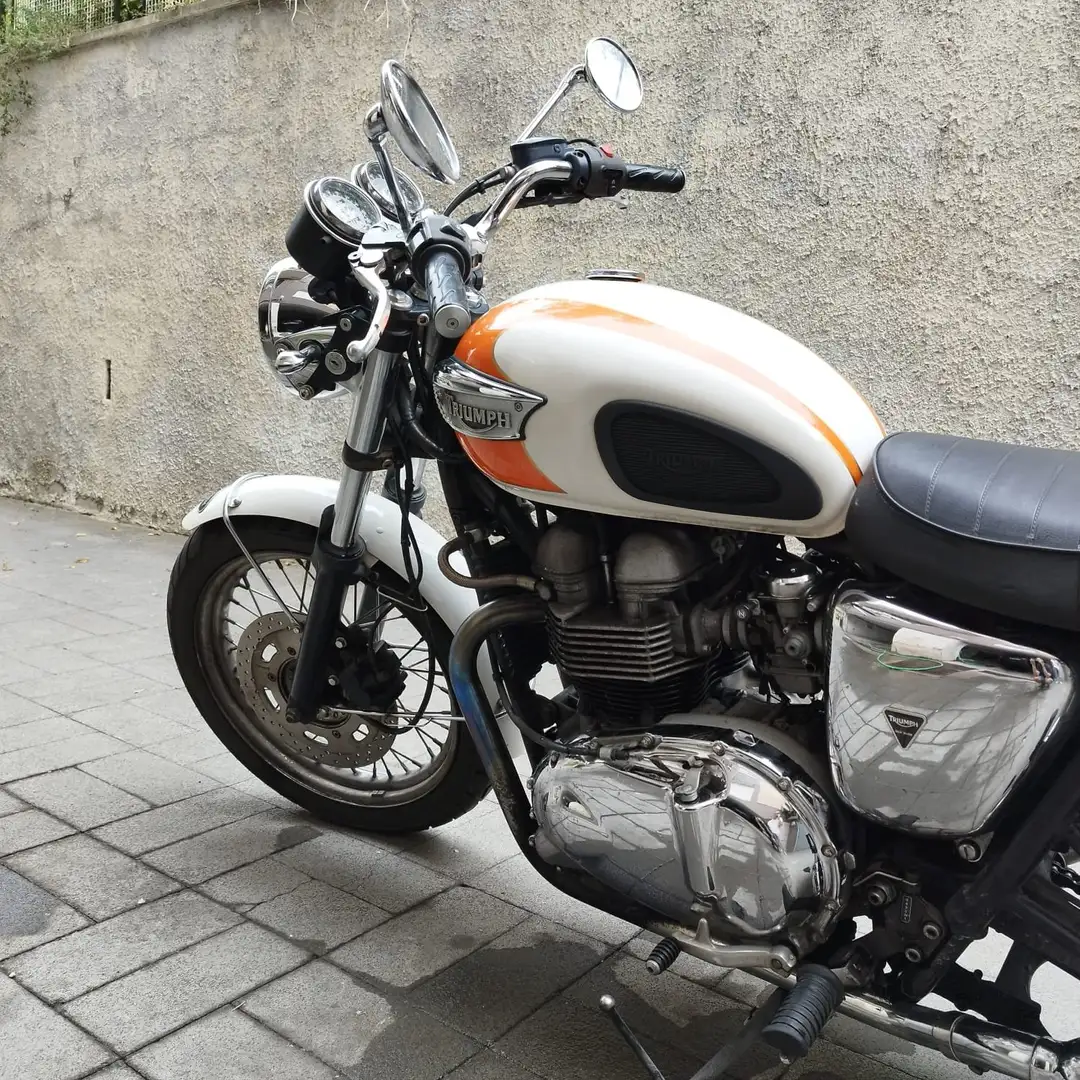 Triumph Bonneville T100 Білий - 1