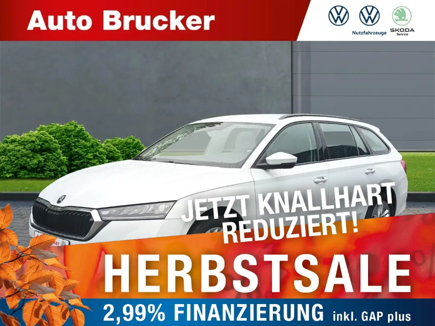 Skoda Octavia Combi Ambition 2.0 TDI+Tempomat+Lenkradheizung+Spr Weiß - 1