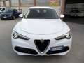 Alfa Romeo Stelvio Stelvio 2.2 Turbodiesel 210 CV AT8 Q4 SUPER Bianco - thumbnail 2