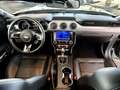 Ford Mustang 2,3 EB Autom. 55 Years 1.Hd + Scheckheft Grau - thumbnail 23