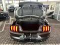 Ford Mustang 2,3 EB Autom. 55 Years 1.Hd + Scheckheft Grau - thumbnail 11