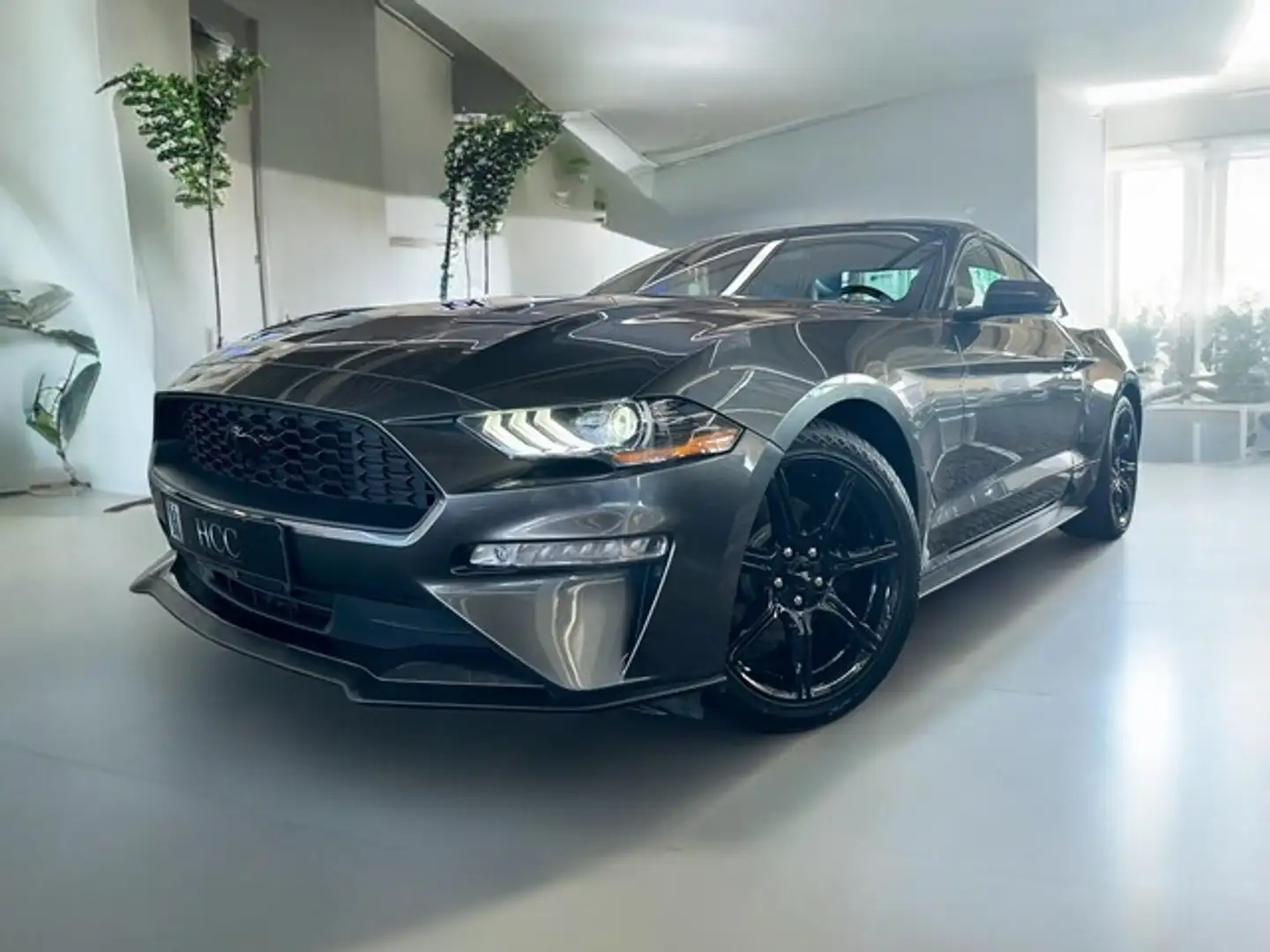 Ford Mustang 2,3 EB Autom. 55 Years 1.Hd + Scheckheft Grijs - 1