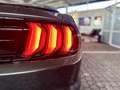 Ford Mustang 2,3 EB Autom. 55 Years 1.Hd + Scheckheft Grau - thumbnail 14