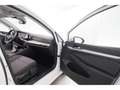 Volkswagen Golf Variant VIII 1.5TSI Move+LED+NAVI+KAMERA Blanc - thumbnail 16