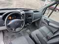 Mercedes-Benz Sprinter 310/311/313/314/316 CDI (906.631/633/635/637) Weiß - thumbnail 8
